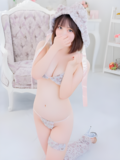 �X�i���[ �ڍ�
